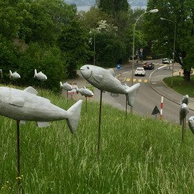 Anderé Becchio 2014 all works: Fischschwarm Anderé Becchio 2014 all works: Fischschwarm